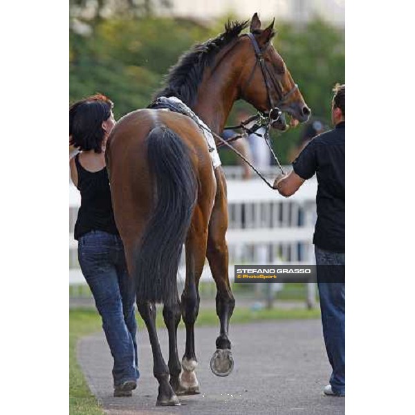 Estejo parading before winning the Premio di Lombardia Milan - San Siro racetrack, 4th july 2010 ph. Stefano Grasso