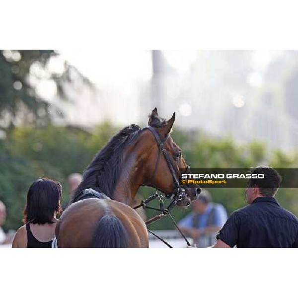 Estejo parading before winning the Premio di Lombardia Milan - San Siro racetrack, 4th july 2010 ph. Stefano Grasso