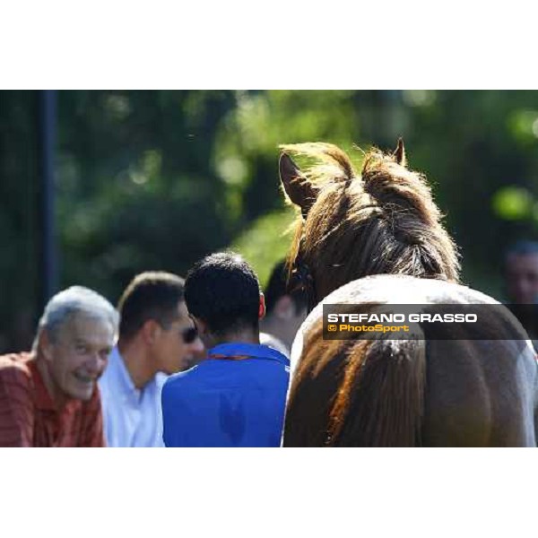 a horse parades before the race Milan - San Siro racetrack, 4th july 2010 ph. Stefano Grasso