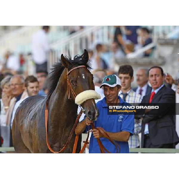 Arneb walks in the winner\'s enclosure after winning the Premio Giuseppe de Montel Milan - San Siro racetrack, 4th july 2010 ph. Stefano Grasso