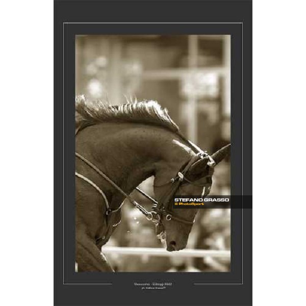 Stoccolma 2002 ph. Stefano Grasso