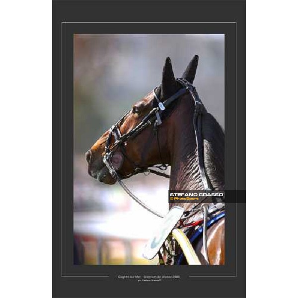 Cagnes sur Mer 2002 ph. Stefano Grasso
