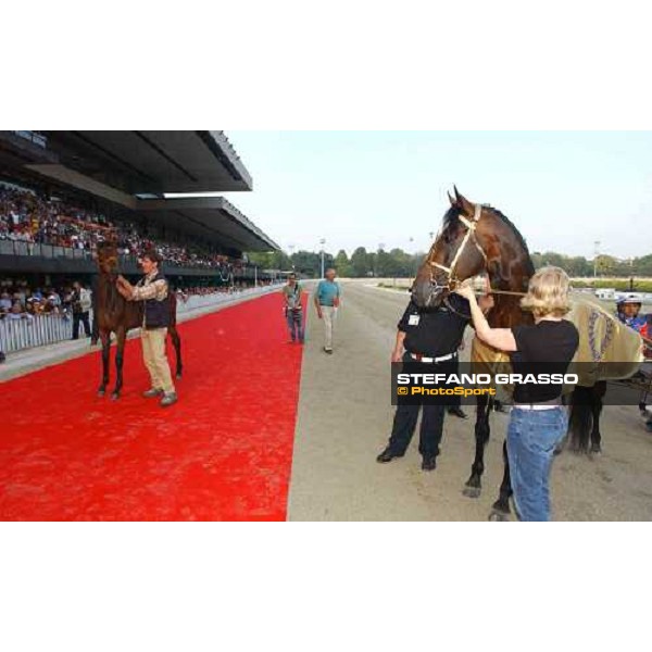 Varenne guarda Icaro del Ronco di fronte ad oltre 4000 appassionati Milano 12 settembre 2004 ph. Stefano Grasso