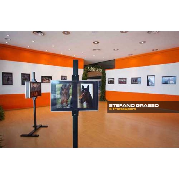 Varenne\'s photographic exibition by Stefano Grasso at the club house of San Siro racetrack- Art Direction by arch. Claudia Bellini Milan, 12th september 2004 ph. Stefano Grasso