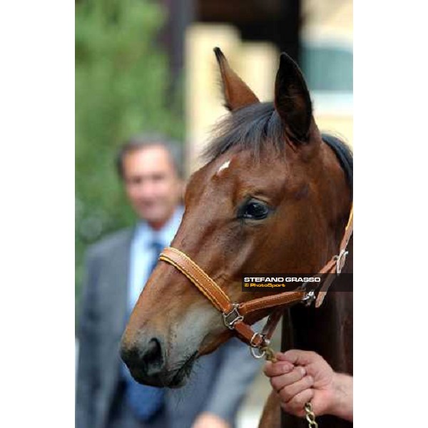 Icaro del Ronco, son of Varenne, seems to look at Enzo Giordano in the background Milan San Siro racetrack 12th september 2004 ph. Stefano Grasso