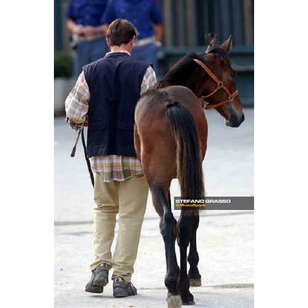 Vincenzo Marelli and Icaro del Ronco Milan San Siro racetrack 12th september 2004 ph. Stefano Grasso