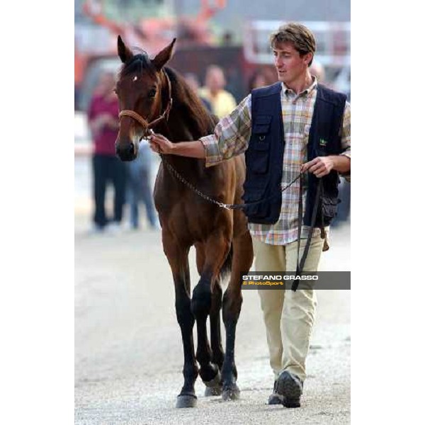 Vincenzo Marelli and Icaro del Ronco Milan San Siro racetrack 12th september 2004 ph. Stefano Grasso