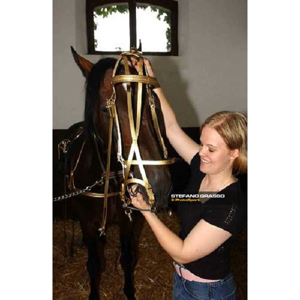 Iina prepares Varenne for the exibition Milan San Siro racetrack 12th september 2004 ph. Stefano Grasso