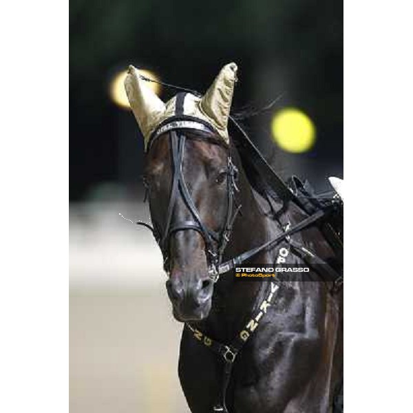 a close up for Opal Viking Campionato Europeo 2010 Cesena, 4th sept. 2010 ph.StefanoGrasso