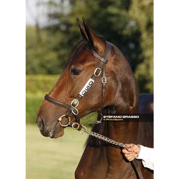 Princess America f.b Andover Hall and Zagabria Dei Busto Arsizio, 13th sept. 2010 ph. Stefano Grasso