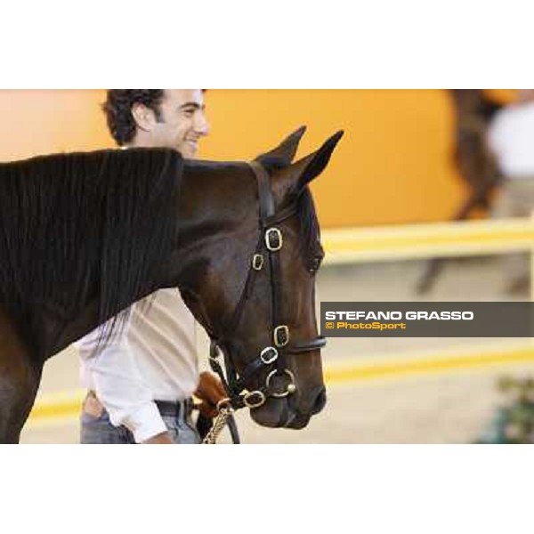 Princess America f.b Andover Hall and Zagabria Dei Busto Arsizio, 13th sept. 2010 ph. Stefano Grasso