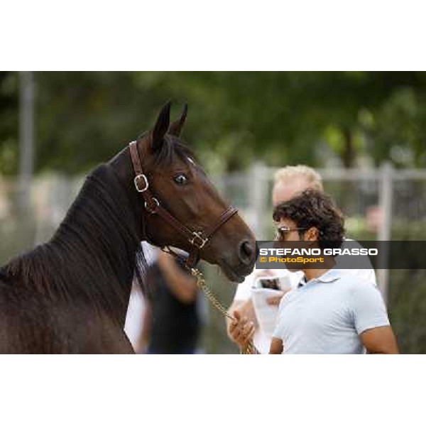 Princess America f.b Andover Hall and Zagabria Dei Busto Arsizio, 13th sept. 2010 ph. Stefano Grasso