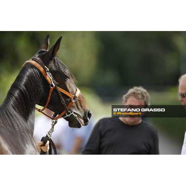 ITS Trotting yearlings sales Busto Arsizio (VA), 13th sept. 2010 ph. Stefano Grasso