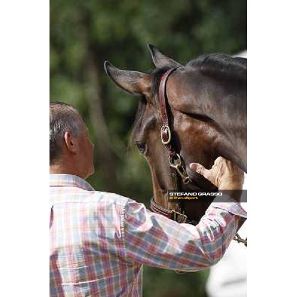ITS Trotting yearlings sales Busto Arsizio (VA), 13th sept. 2010 ph. Stefano Grasso