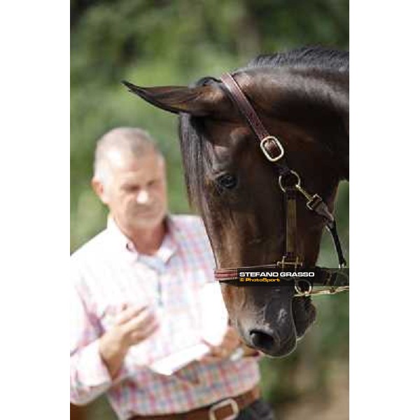 ITS Trotting yearlings sales Busto Arsizio (VA), 13th sept. 2010 ph. Stefano Grasso