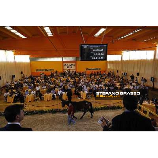 ITS Trotting yearlings sales Busto Arsizio (VA), 13th sept. 2010 ph. Stefano Grasso