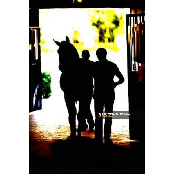 ITS Trotting yearlings sales Busto Arsizio (VA), 13th sept. 2010 ph. Stefano Grasso