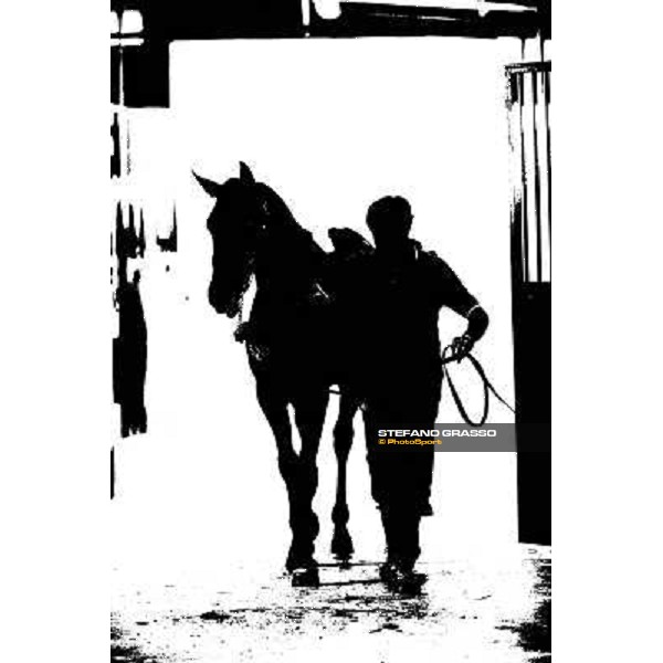 ITS Trotting yearlings sales Busto Arsizio (VA), 13th sept. 2010 ph. Stefano Grasso