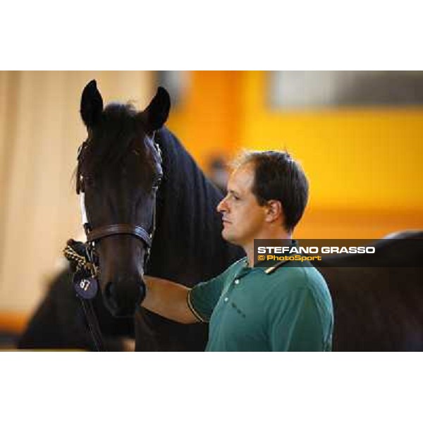 ITS Trotting yearlings sales Busto Arsizio (VA), 13th sept. 2010 ph. Stefano Grasso