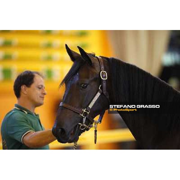 ITS Trotting yearlings sales Busto Arsizio (VA), 13th sept. 2010 ph. Stefano Grasso