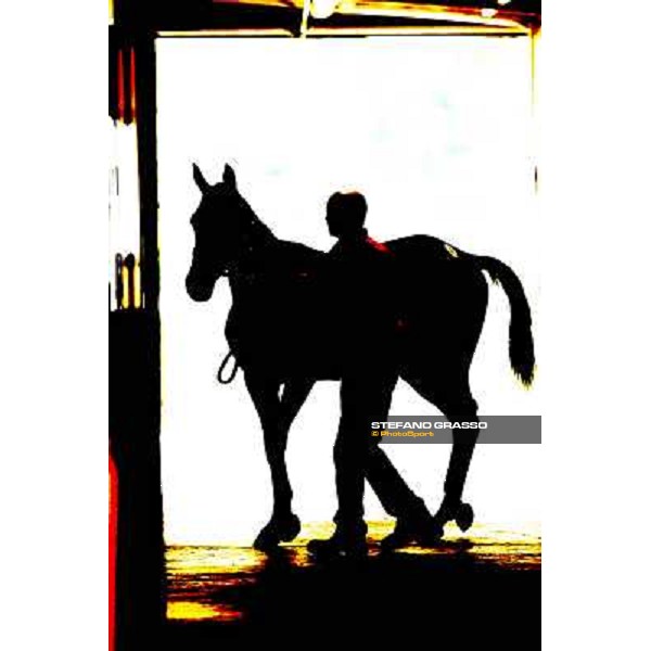 ITS Trotting yearlings sales Busto Arsizio (VA), 13th sept. 2010 ph. Stefano Grasso