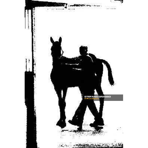 ITS Trotting yearlings sales Busto Arsizio (VA), 13th sept. 2010 ph. Stefano Grasso