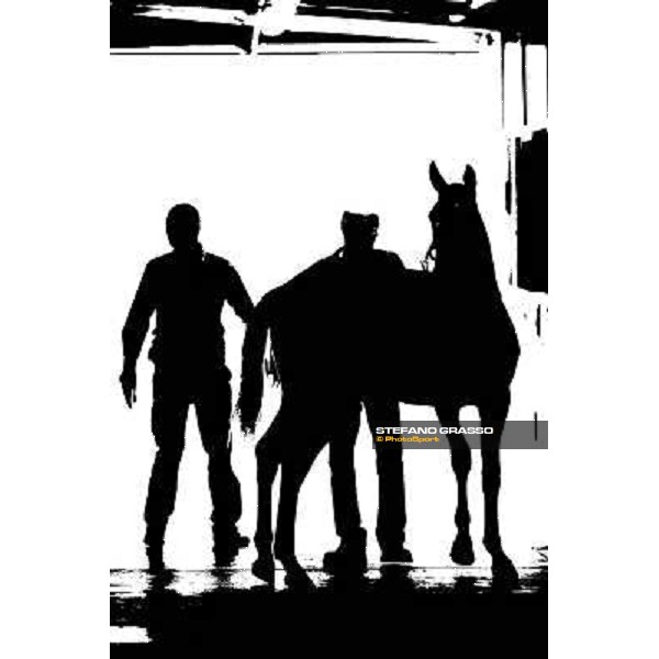 ITS Trotting yearlings sales Busto Arsizio (VA), 13th sept. 2010 ph. Stefano Grasso