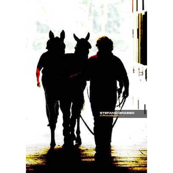 ITS Trotting yearlings sales Busto Arsizio (VA), 13th sept. 2010 ph. Stefano Grasso