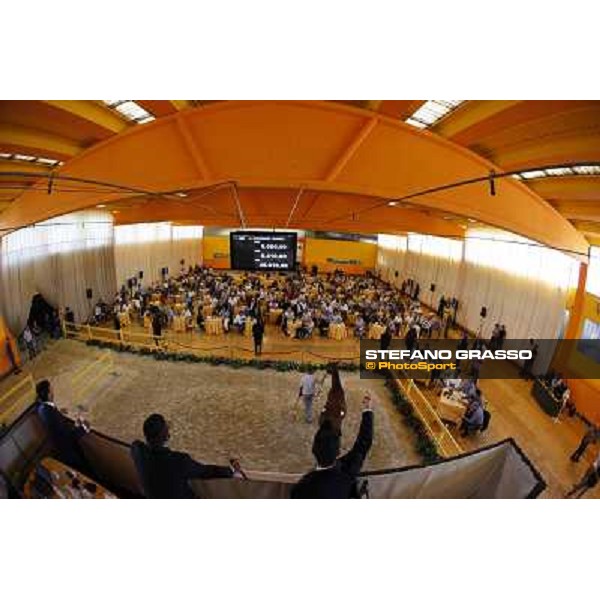 ITS Trotting yearlings sales Busto Arsizio (VA), 13th sept. 2010 ph. Stefano Grasso