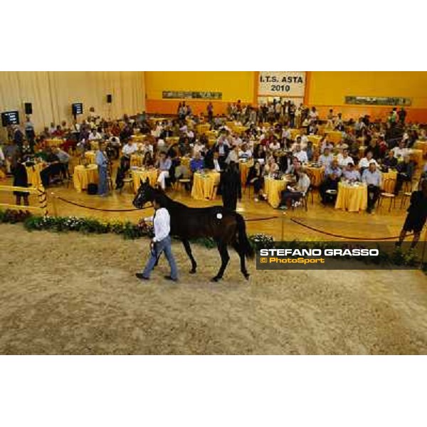 ITS Trotting yearlings sales Busto Arsizio (VA), 13th sept. 2010 ph. Stefano Grasso