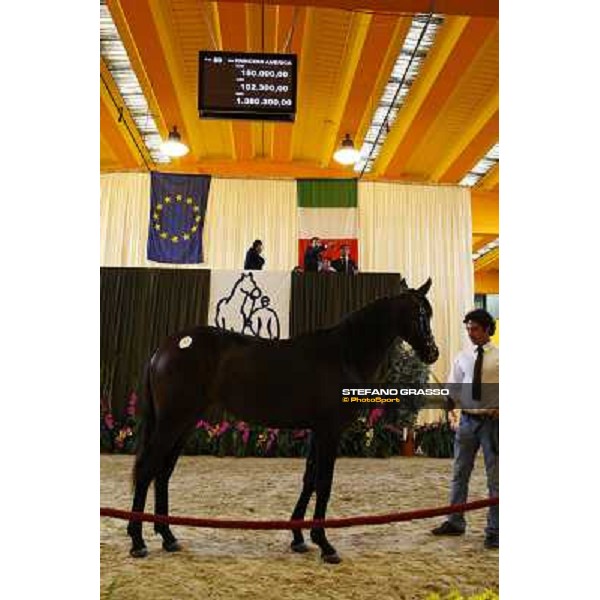 ITS Trotting yearlings sales Busto Arsizio (VA), 13th sept. 2010 ph. Stefano Grasso
