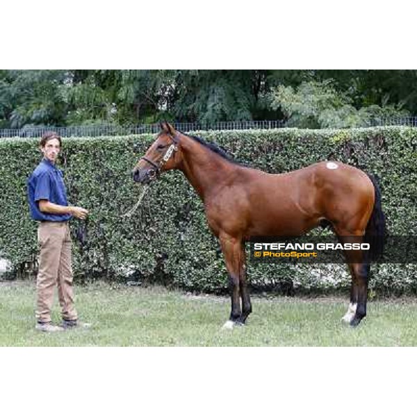 Top Price at Euro 190.000 - N. m.b 26/2/2009 Dubawi and Kathy College presented by Az. Agr. Rosati Colarieti Antonio and bought by Darley Settimo Milanese (MI), 24th sept. 2010 ph. Stefano Grasso