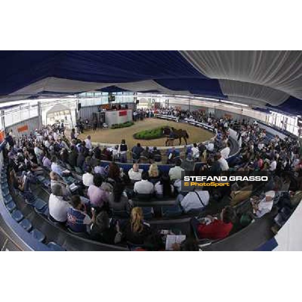 Top Price at Euro 190.000 - N. m.b 26/2/2009 Dubawi and Kathy College presented by Az. Agr. Rosati Colarieti Antonio and bought by Darley Settimo Milanese (MI), 24th sept. 2010 ph. Stefano Grasso