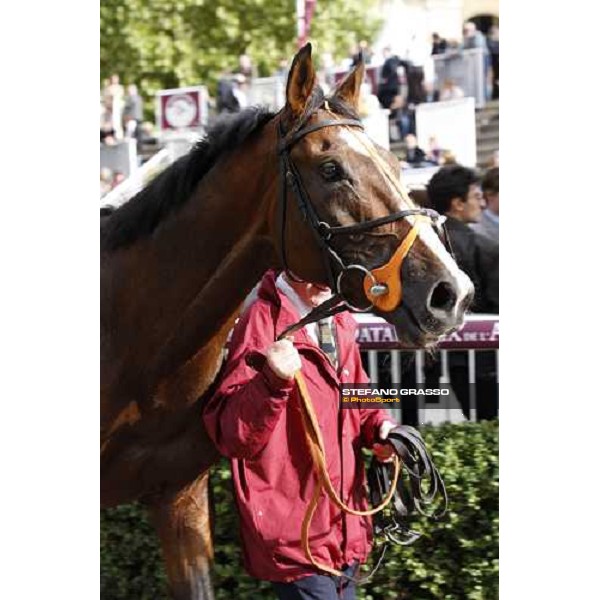 Ryan Moore and Workforce win the Qatar Prix de l\'Arc de Triomphe beating Nakayama Festa Paris - Longchamp, 3rd oct. 2010 ph. Stefano Grasso
