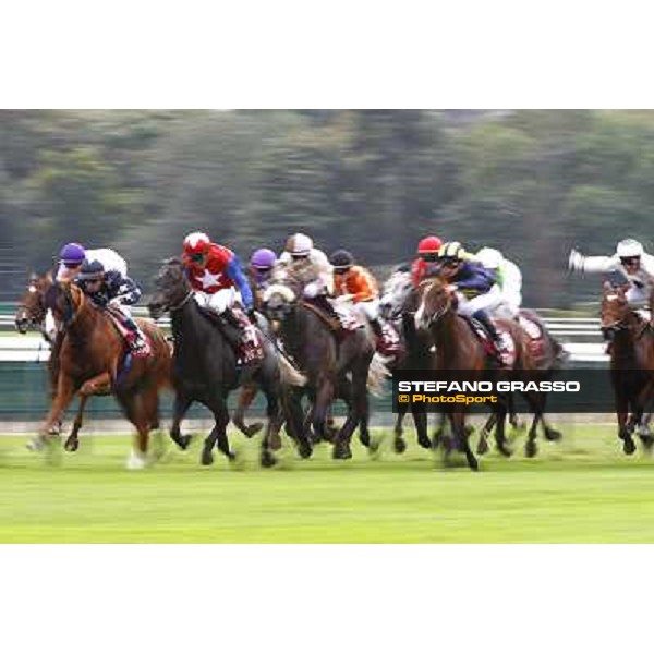 Racing, Portraits and Emotions from the week end of the Qatar Prix de l\'Arc de Triomphe Paris - Longchamp, 2nd oct. 2010 ph. Stefano Grasso
