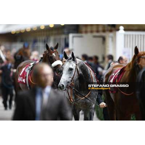 Racing, Portraits and Emotions from the week end of the Qatar Prix de l\'Arc de Triomphe Paris - Longchamp, 2nd oct. 2010 ph. Stefano Grasso