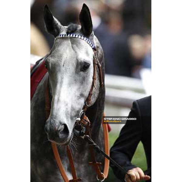 Racing, Portraits and Emotions from the week end of the Qatar Prix de l\'Arc de Triomphe Paris - Longchamp, 2nd oct. 2010 ph. Stefano Grasso