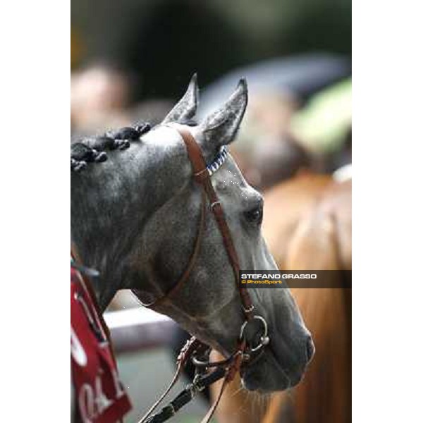 Racing, Portraits and Emotions from the week end of the Qatar Prix de l\'Arc de Triomphe Paris - Longchamp, 2nd oct. 2010 ph. Stefano Grasso