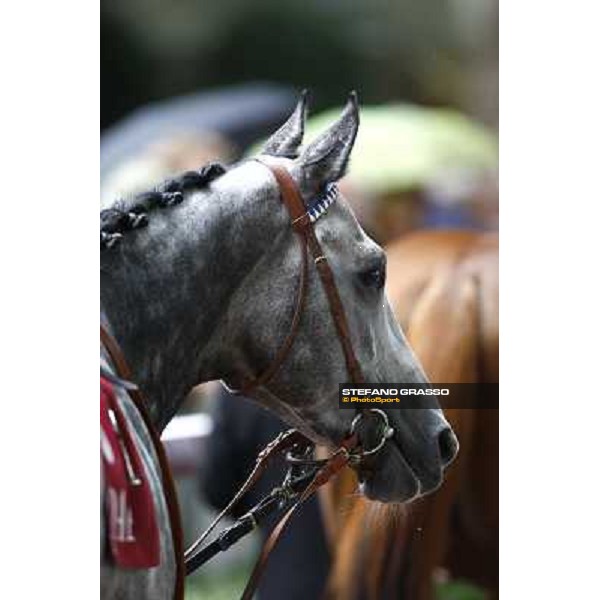 Racing, Portraits and Emotions from the week end of the Qatar Prix de l\'Arc de Triomphe Paris - Longchamp, 2nd oct. 2010 ph. Stefano Grasso