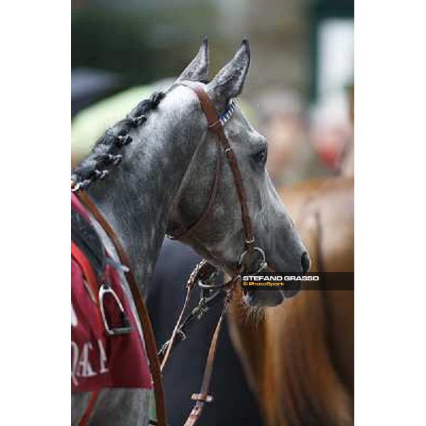 Racing, Portraits and Emotions from the week end of the Qatar Prix de l\'Arc de Triomphe Paris - Longchamp, 2nd oct. 2010 ph. Stefano Grasso