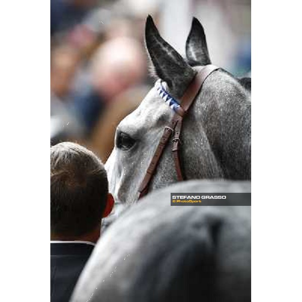 Racing, Portraits and Emotions from the week end of the Qatar Prix de l\'Arc de Triomphe Paris - Longchamp, 2nd oct. 2010 ph. Stefano Grasso
