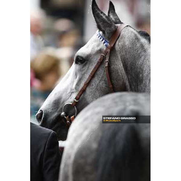 Racing, Portraits and Emotions from the week end of the Qatar Prix de l\'Arc de Triomphe Paris - Longchamp, 2nd oct. 2010 ph. Stefano Grasso