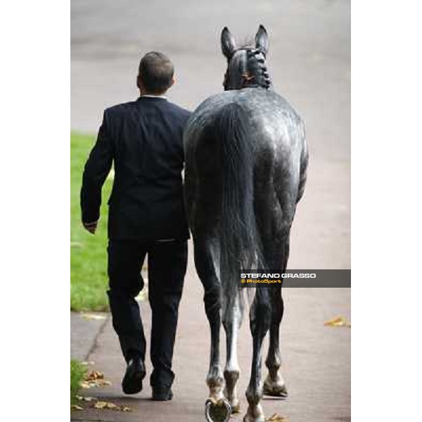 Racing, Portraits and Emotions from the week end of the Qatar Prix de l\'Arc de Triomphe Paris - Longchamp, 2nd oct. 2010 ph. Stefano Grasso