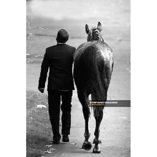 Racing, Portraits and Emotions from the week end of the Qatar Prix de l\'Arc de Triomphe Paris - Longchamp, 2nd oct. 2010 ph. Stefano Grasso
