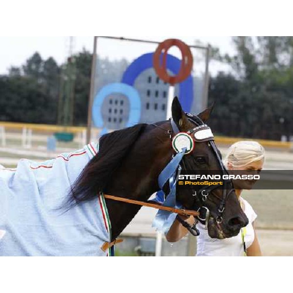Andrea Guzzinati with Nadir Kronos wins the 83° Italian Trotting Derby Roma, 10th oct. 2010 ph. Stefano Grasso