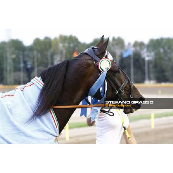 Andrea Guzzinati with Nadir Kronos wins the 83° Italian Trotting Derby Roma, 10th oct. 2010 ph. Stefano Grasso