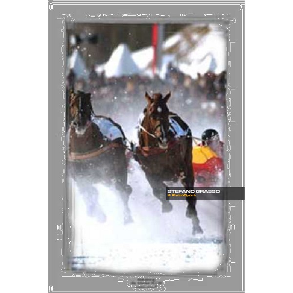Skikjoring - S.Moritz 2003 ph. Stefano Grasso