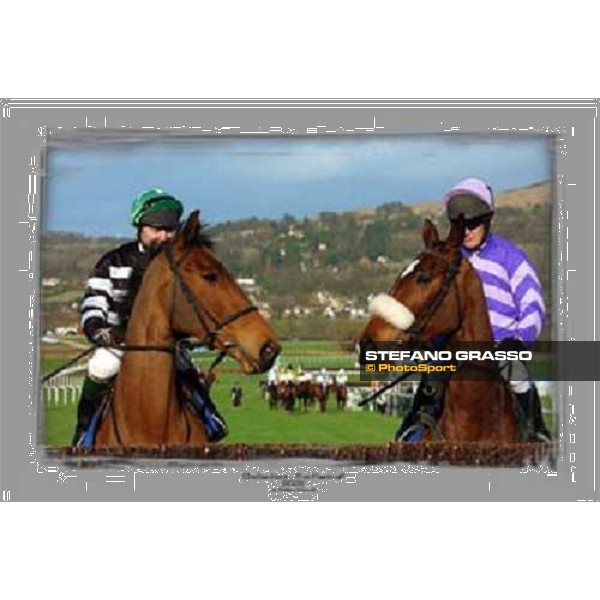 Cheltenham 2003 - The Festival ph. Stefano Grasso