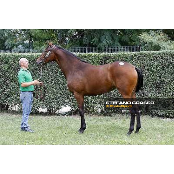 58 f. b. Maria Vezzera Authorized La Virt Sole srl RENCATI S.R.L. SCUDERIA Euro 105.000 Settimo Milanese (Mi) - Sga Selected Yearlings Sale, 24th sept. 2010 ph.Stefano Grasso