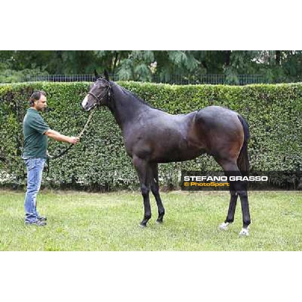 90 m. b. Passannante Cape Cross Risera S.A.R.L. srl QUARTUCCI ALAN/Earle Mack euro 64.000 Settimo Milanese (Mi) - Sga Selected Yearlings Sale, 24th sept. 2010 ph.Stefano Grasso